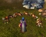 wowscrnshot_040106_144348.jpg